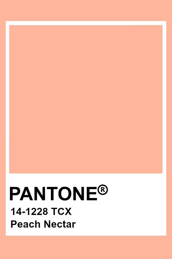 Peach Color Swatch, Peach Pantone, Peaches Aesthetic, Pantone Tcx, Pantone Color Chart, Pantone Swatches, Peach Nectar, Pantone Palette, Pantone Colour Palettes