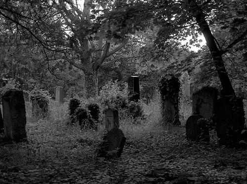 black and white photograph of an old cemetery in the woods with leaves on the ground