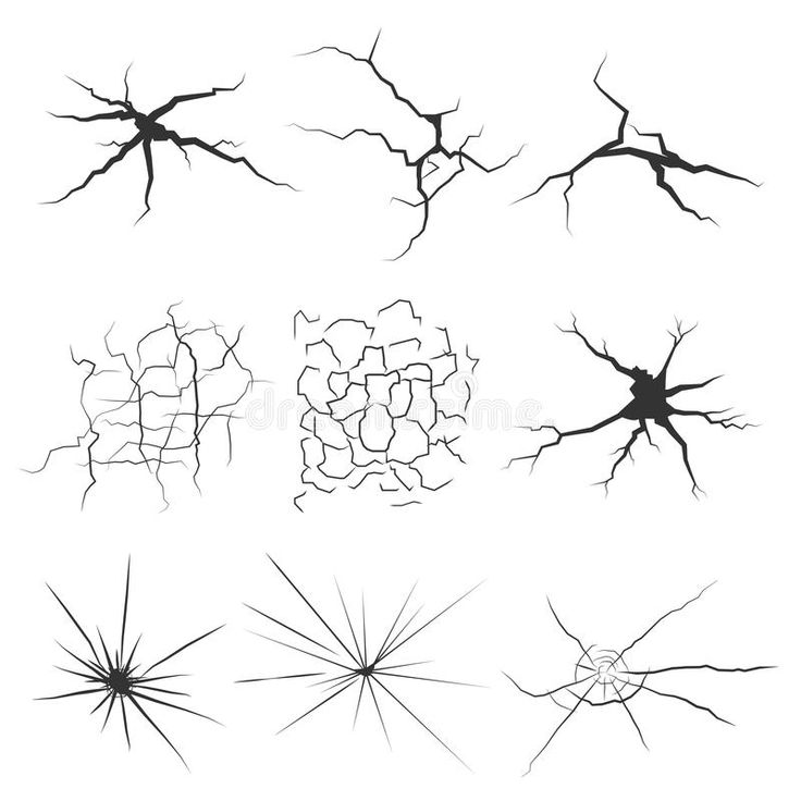 an image of different types of tree roots