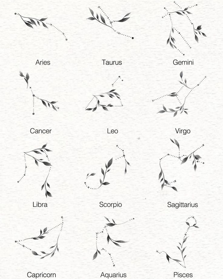 the zodiac signs and their meanings