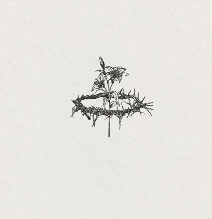 a drawing of a crown with thorns on it and two birds perched on the branch