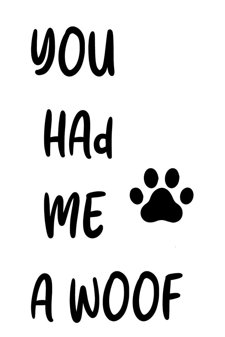 you had me woof dog quotes . I Woof You, Cute Dog Quotes Short, Dog Phrases, If Dogs Could Talk, Treat Business, Hand Quotes, Cute Dog Quotes, Dog Craft, Dog Shaking