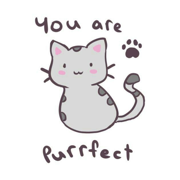 a gray cat with the words you are purfect on it's chest