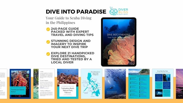 Diver Bliss |  Scuba Diving and Sustainable Lifestyle