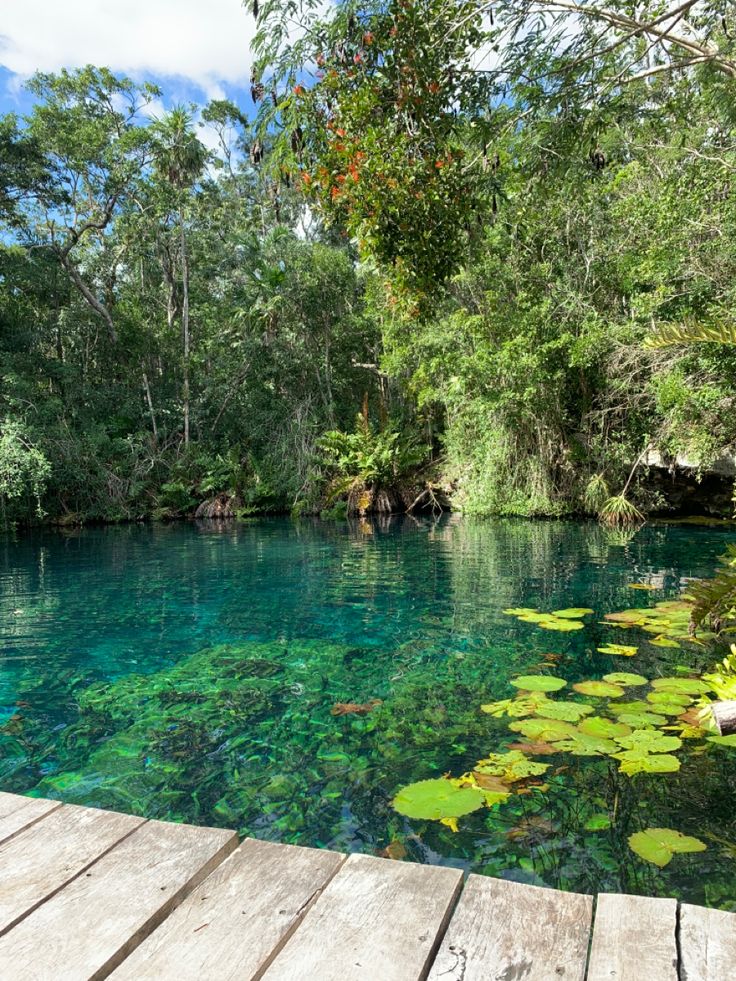 the water is crystal blue and green with lily pads on the dock at the bottom