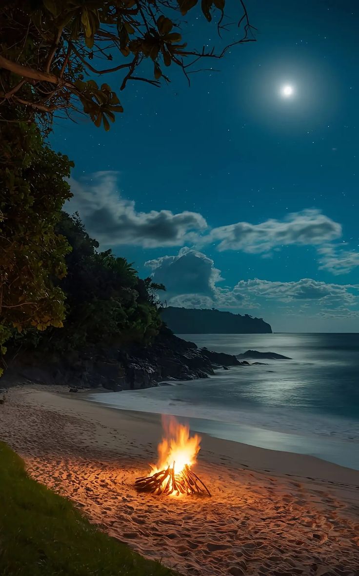 a campfire is lit up on the beach at night