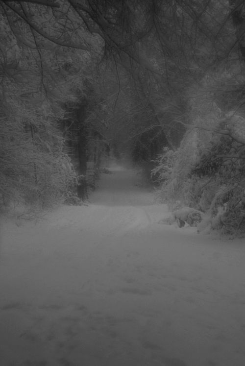 a black and white photo of a snow covered path