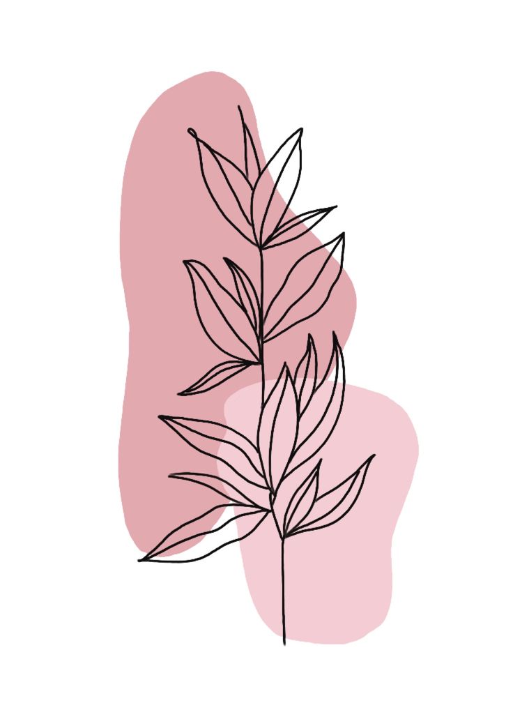 a drawing of a leaf on a pink background