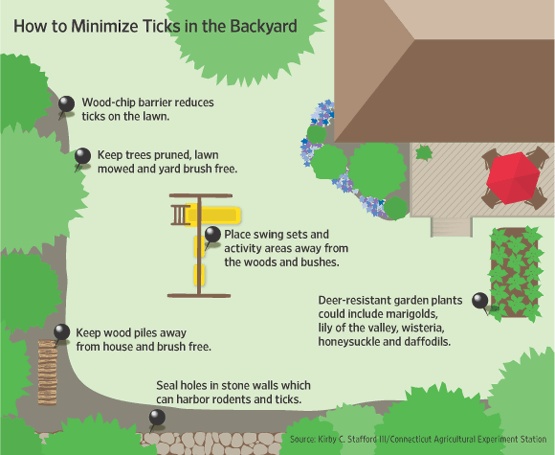 how to minimize ticks in the backyard info graphic on back yard and landscaping tips