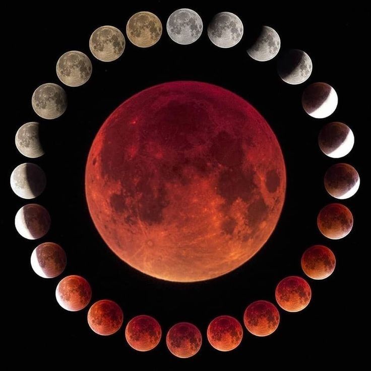 the moon is shown in a circle with many different phases