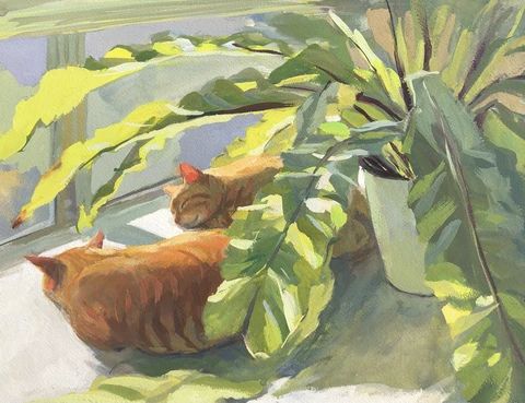 two cats are sitting in the window sill next to plants and potted plants