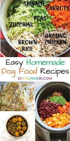 an easy homemade dog food recipe with carrots, zucchini peas and brown rice