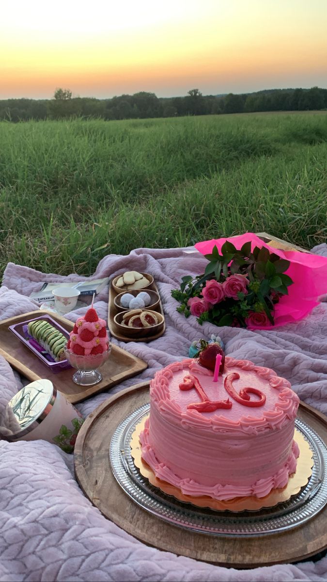 a pink heart shaped cake sitting on top of a blanket next to a picnic table