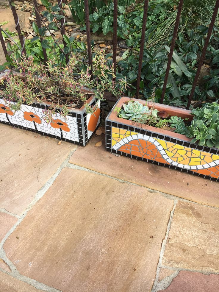 two planters with succulents and other plants in them on the ground