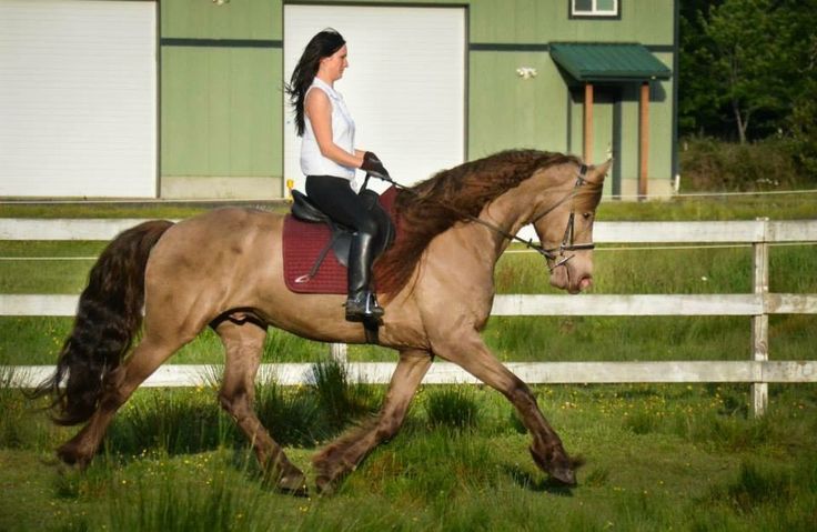 a woman riding on the back of a brown horse