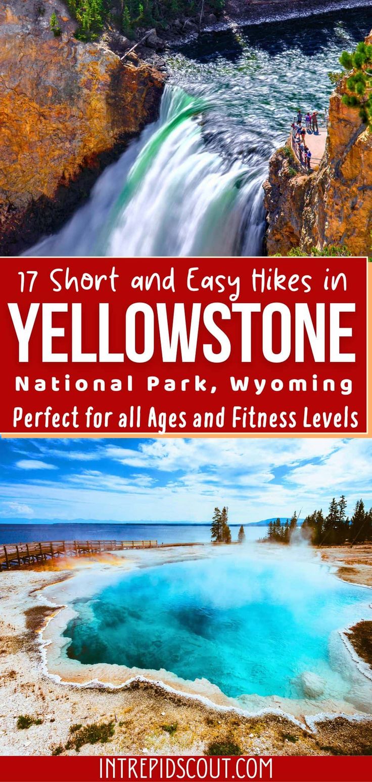 yellowstone national park with the title 17 short and easy hikes in yellowstone