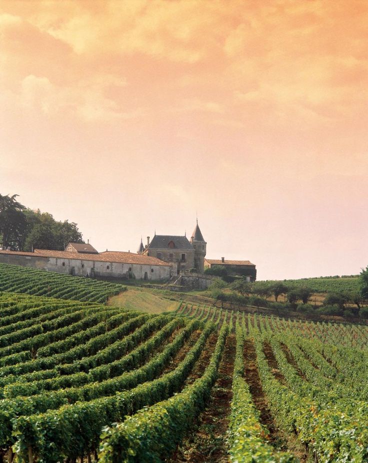 an old castle sits in the middle of a vineyard