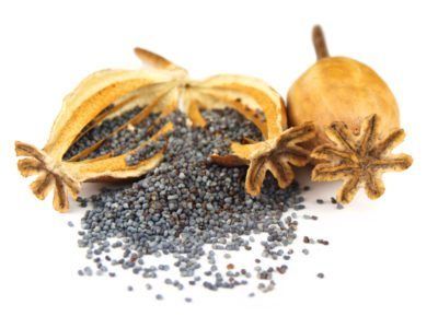 an assortment of seeds and spices on a white background