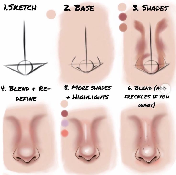 how to draw nose shapes for beginners with step by step instructions on how to draw the nose