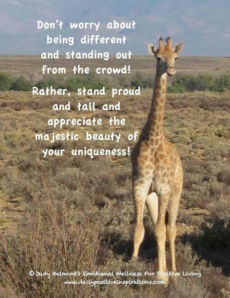 a giraffe standing in the middle of a field with a quote about being different