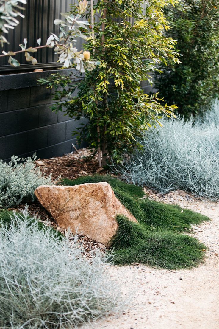 a rock sitting in the middle of a garden filled with green grass and bushes next to a black building