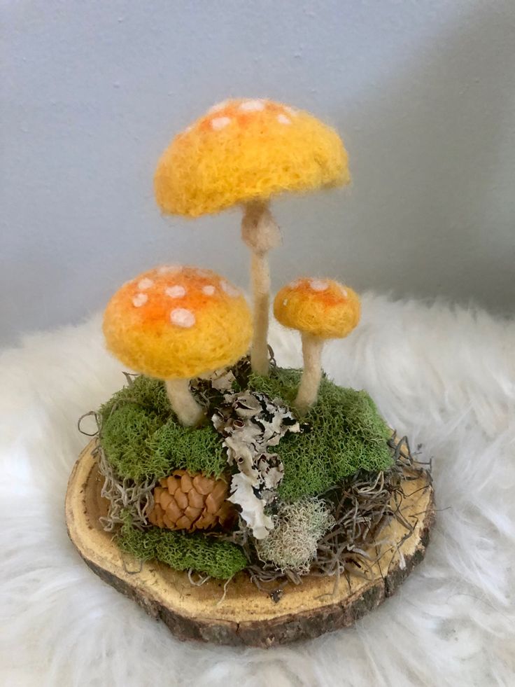 two mushrooms sitting on top of a piece of wood with moss and pineconis