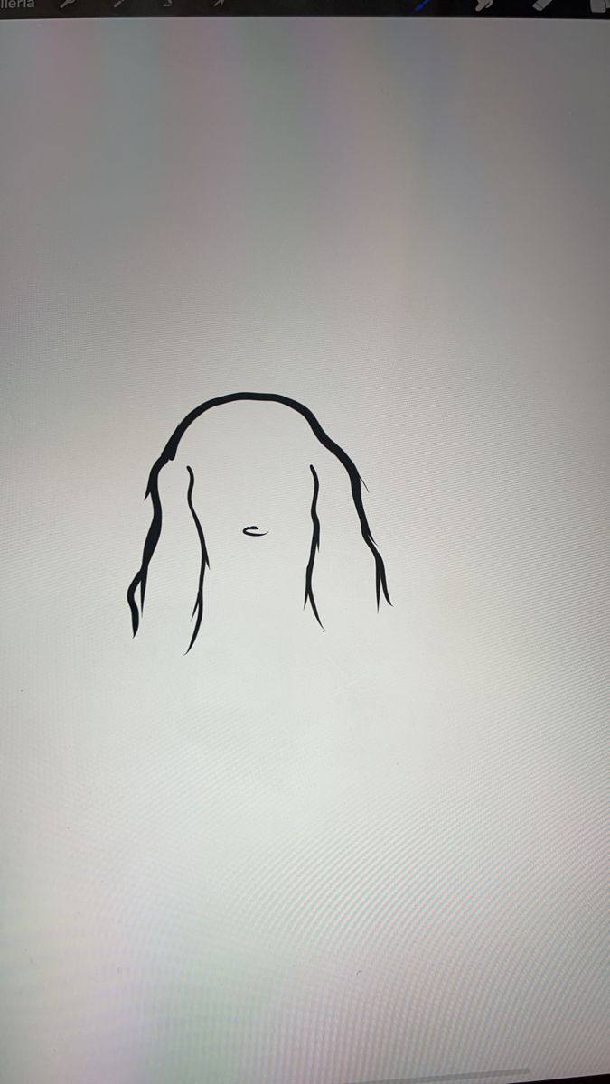 a computer screen with a drawing of a woman's face on the screen and hair blowing in the wind