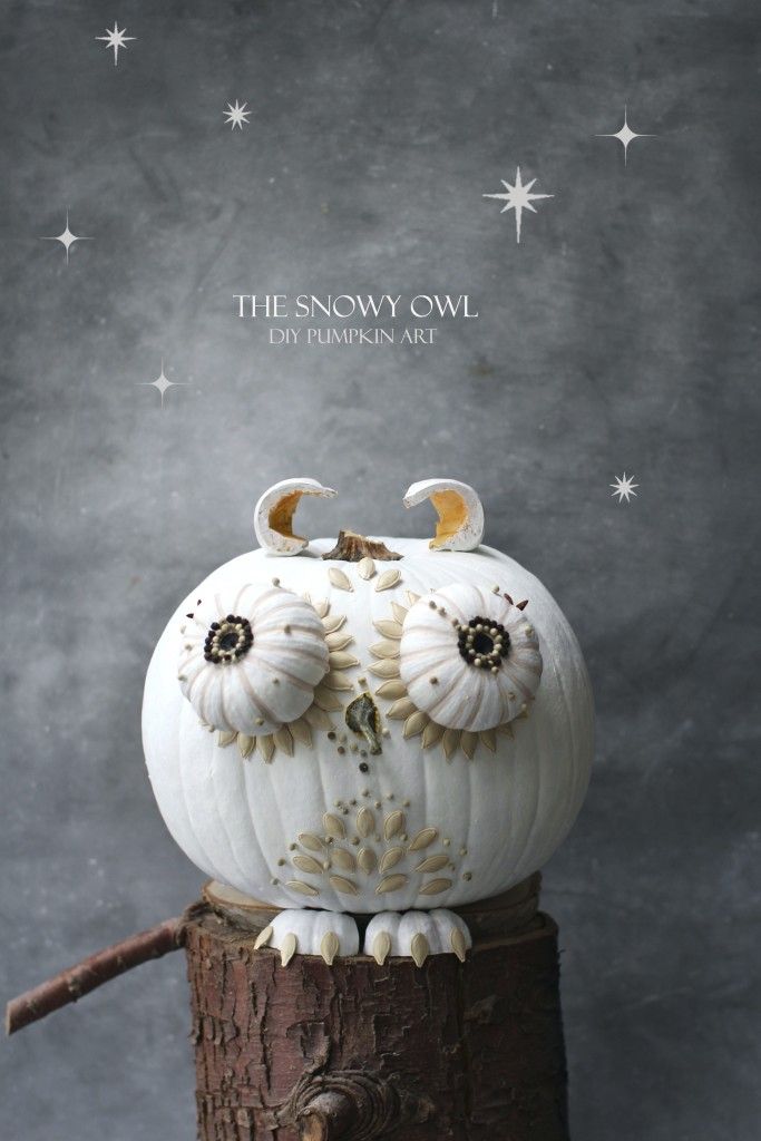 an owl pumpkin sitting on top of a tree stump