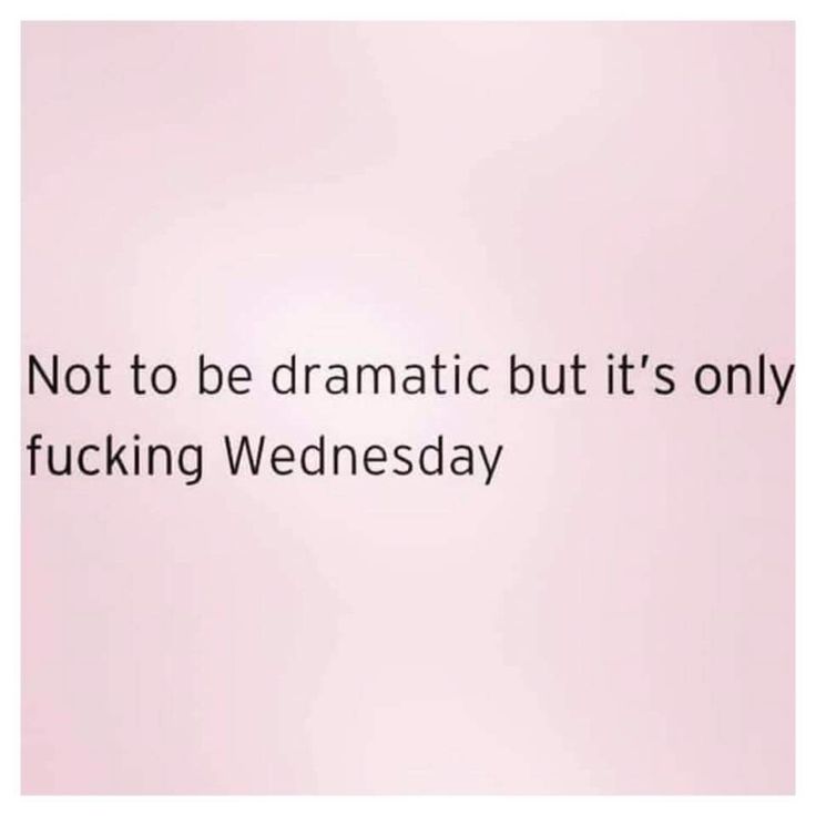 Hello Wednesday, Wednesday Humor, Workplace Humor, Making Cookies, Weekday Quotes, Good Morning Funny, Awesome Quotes, Funny As Hell, Work Memes