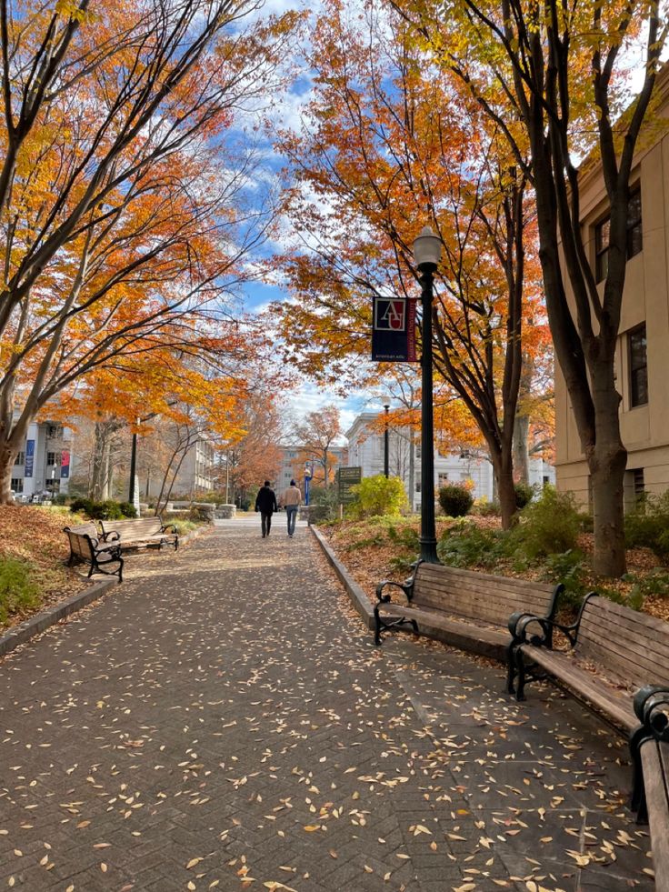 two people walking down the street in front of some trees with leaves on them and one person sitting on a bench