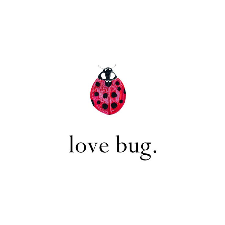 a ladybug with the words love bug on it's back and bottom