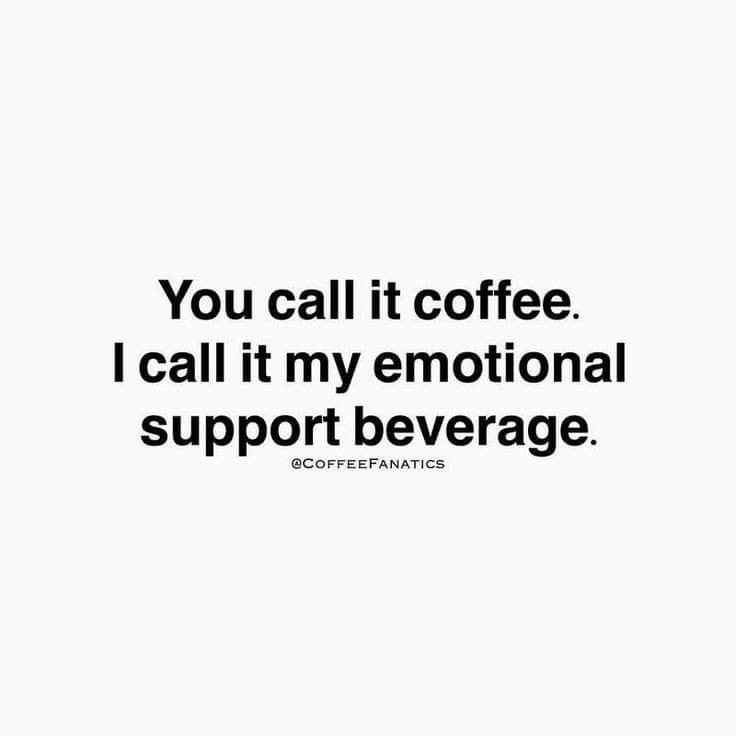 Kaffe Humor, Coffee Meme, Coffee Quotes Funny, Funny Coffee Quotes, Cheaper Than Therapy, Coffee Obsession, Donut Shop, Coffee Is Life, Morning Humor