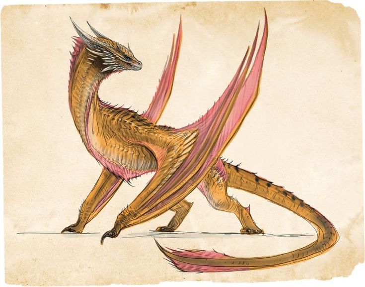 a drawing of a dragon standing on its hind legs