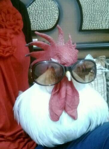 a dog wearing sunglasses and a rooster hat