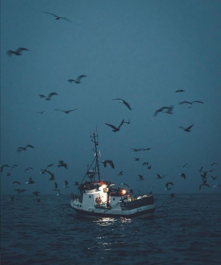 a boat in the water with seagulls flying around it