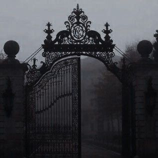 an old iron gate in the middle of a foggy day