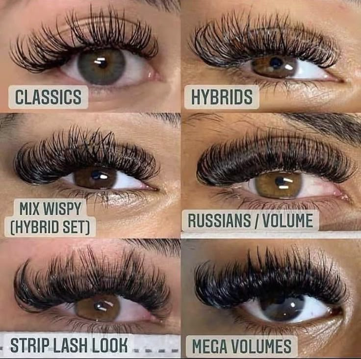 Spikes Lashes, Types Of Eyelash Extensions, Eye Styles, Natural Fake Eyelashes, Lashes Fake Eyelashes, Classic Lashes, Russian Lashes, Russian Volume Lashes, Lash Extension Supplies