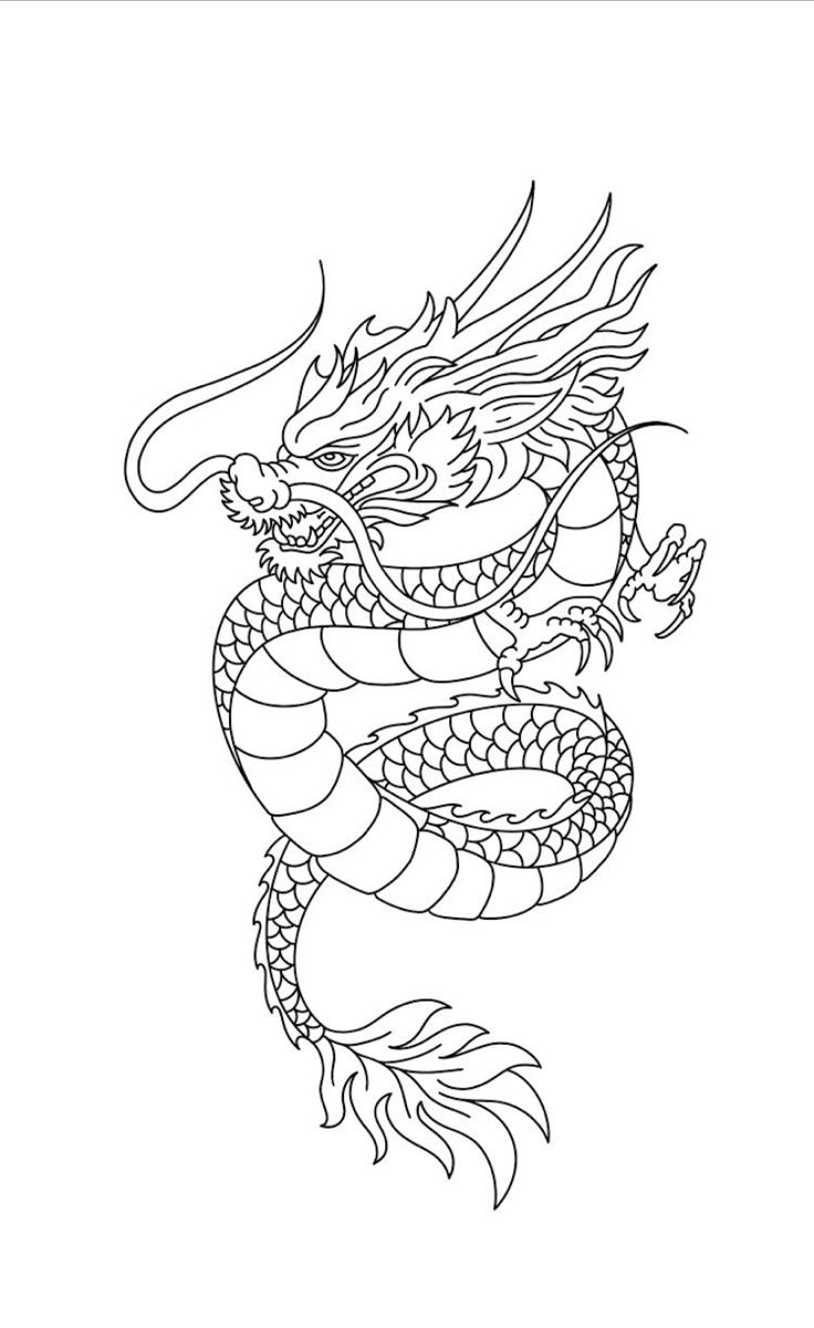 a black and white drawing of a dragon with its tail curled up in the air