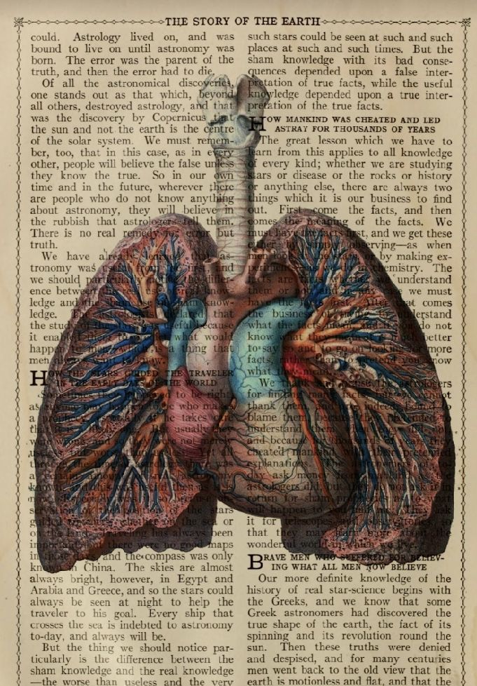 an image of the lungs on top of a book page with words written in it