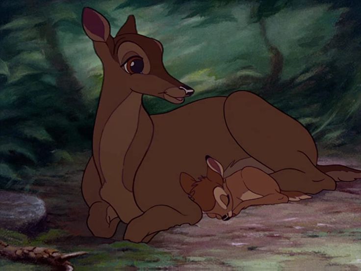 an image of two animals that are in the woods together, one is laying down and the other is lying down