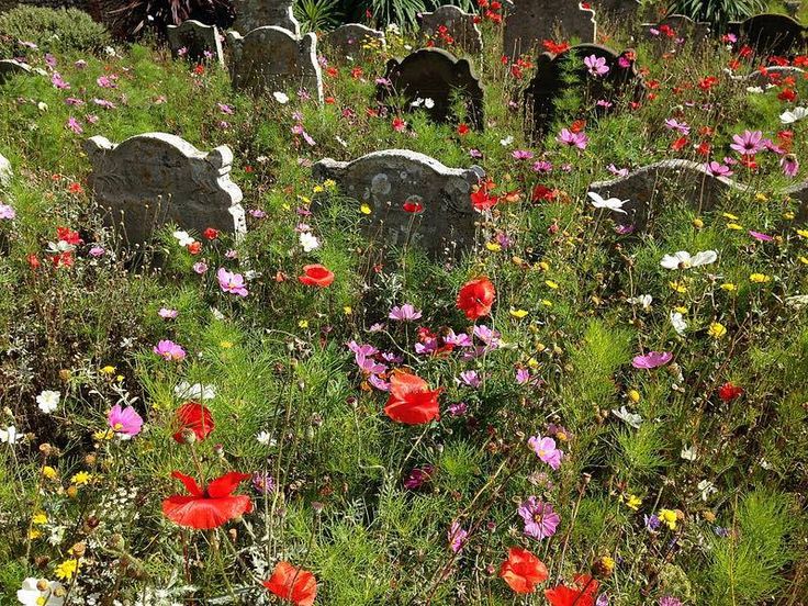 a field full of flowers and headstones in the middle of a cemetery with wildflowers growing out of them