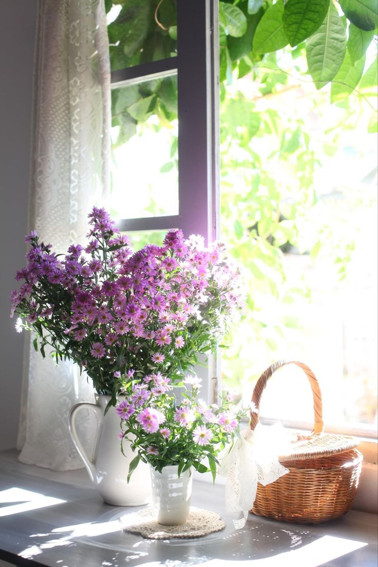 purple flowers are sitting on a window sill in front of a basket and potted plant