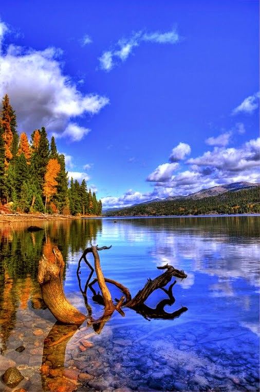 an image of a beautiful lake with trees in the foreground and clouds in the background