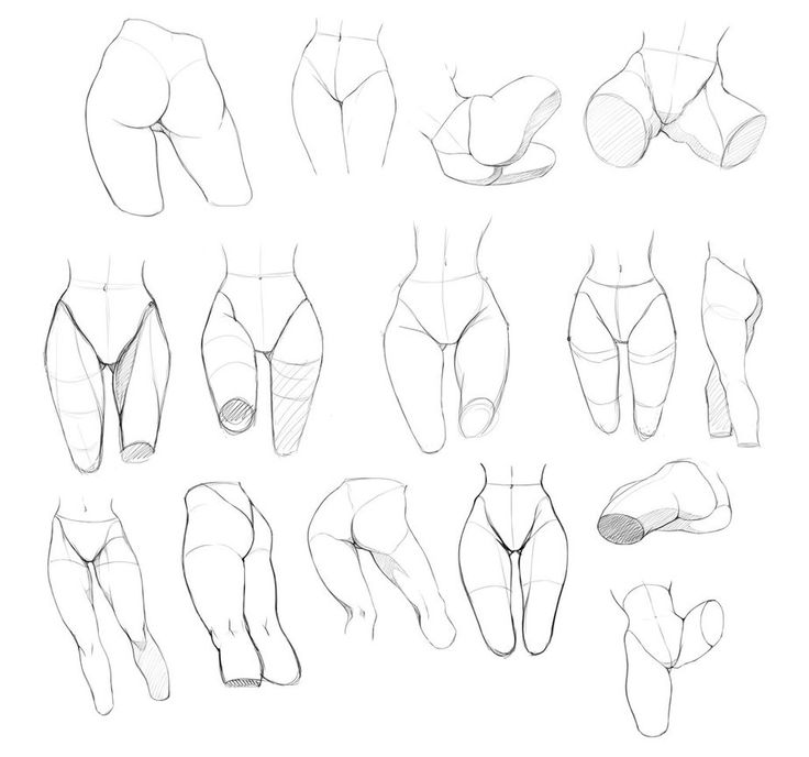 an image of different types of legs and feet in various positions on a white background