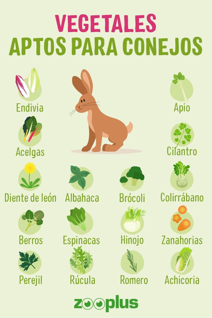 a poster with different types of vegetables in french