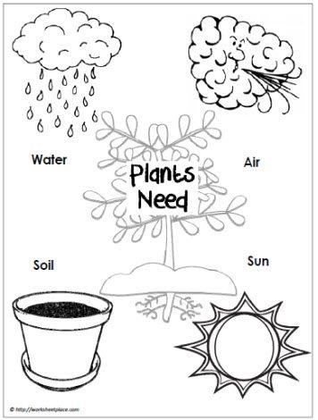 Use a graphic like this to guide a scientific inquiry: do plants really need all of these things? Have a control plant and then deprive plants of each of these to see whether these are needs and discuss why. CJ Plants Kindergarten, Plant Lessons, Plants Worksheets, Preschool Garden, Plant Activities, 1st Grade Science, Worksheet For Kids, Plant Life Cycle, Plant Science