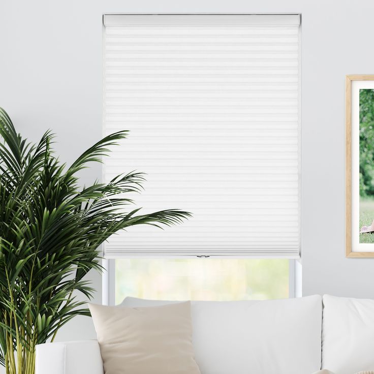 a living room with a white couch and large window covered in blinds that are open