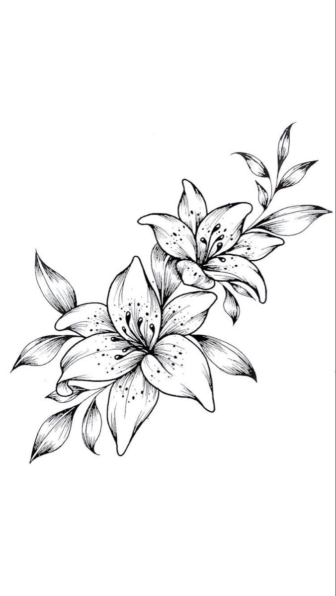 a black and white drawing of flowers on a white background