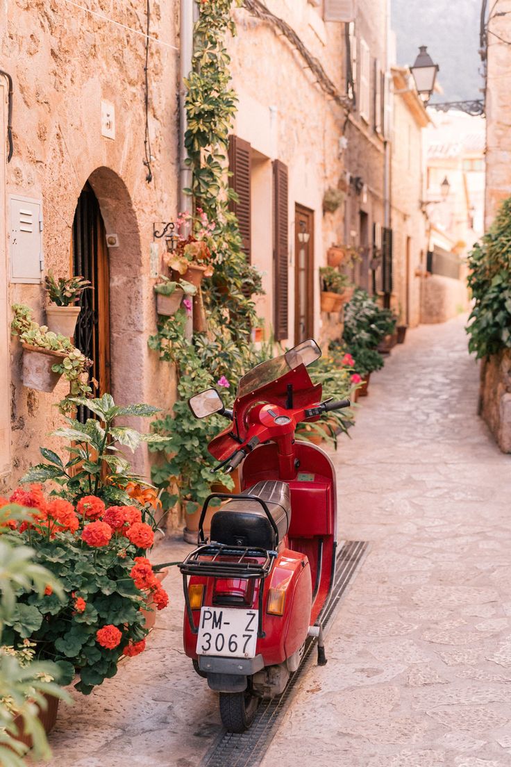 a red scooter parked on the side of a street next to flowers and potted plants