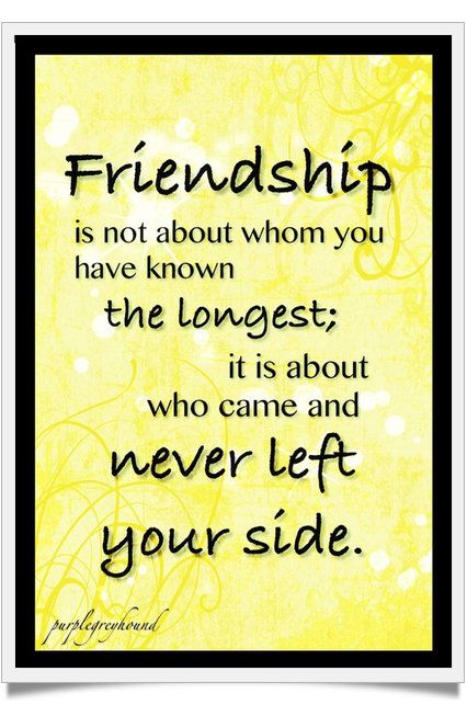 a quote that says, friends are not about whom you have known